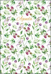 Naptár, tervező, A5, napi, DAYLINER, "Colors", Berries